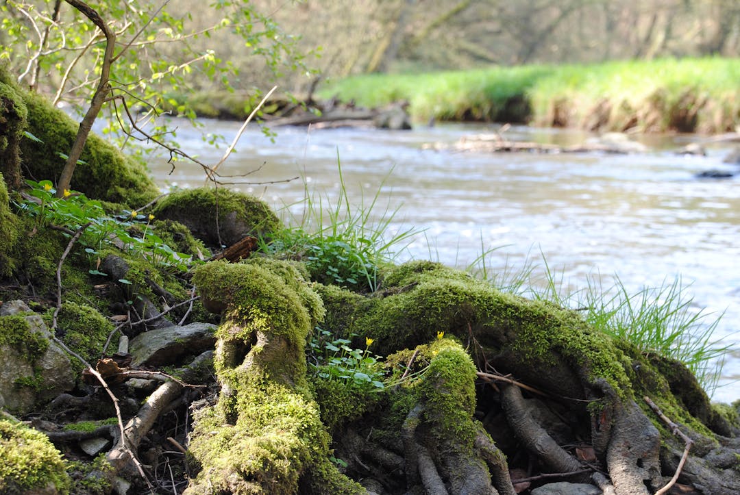 Vintage brass compass with detailed markings showing navigation and strategic direction