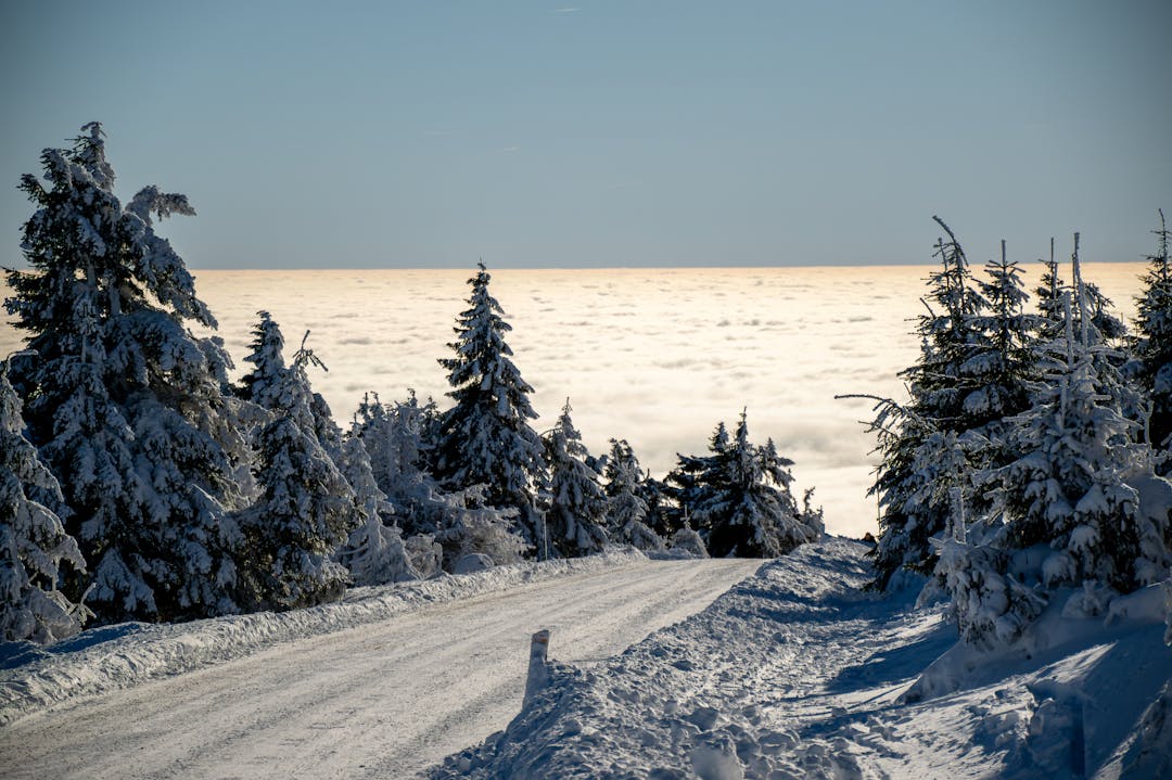 Lighthouse beacon cutting through dense fog to guide ships safely to shore