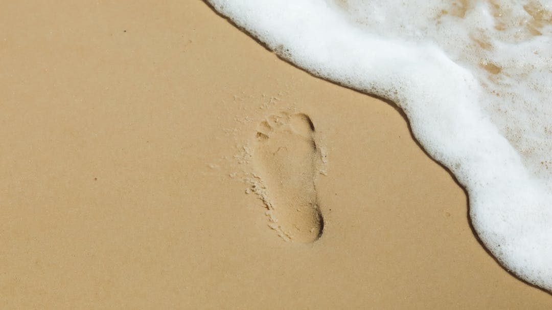 Footprints in wet sand near the waterline