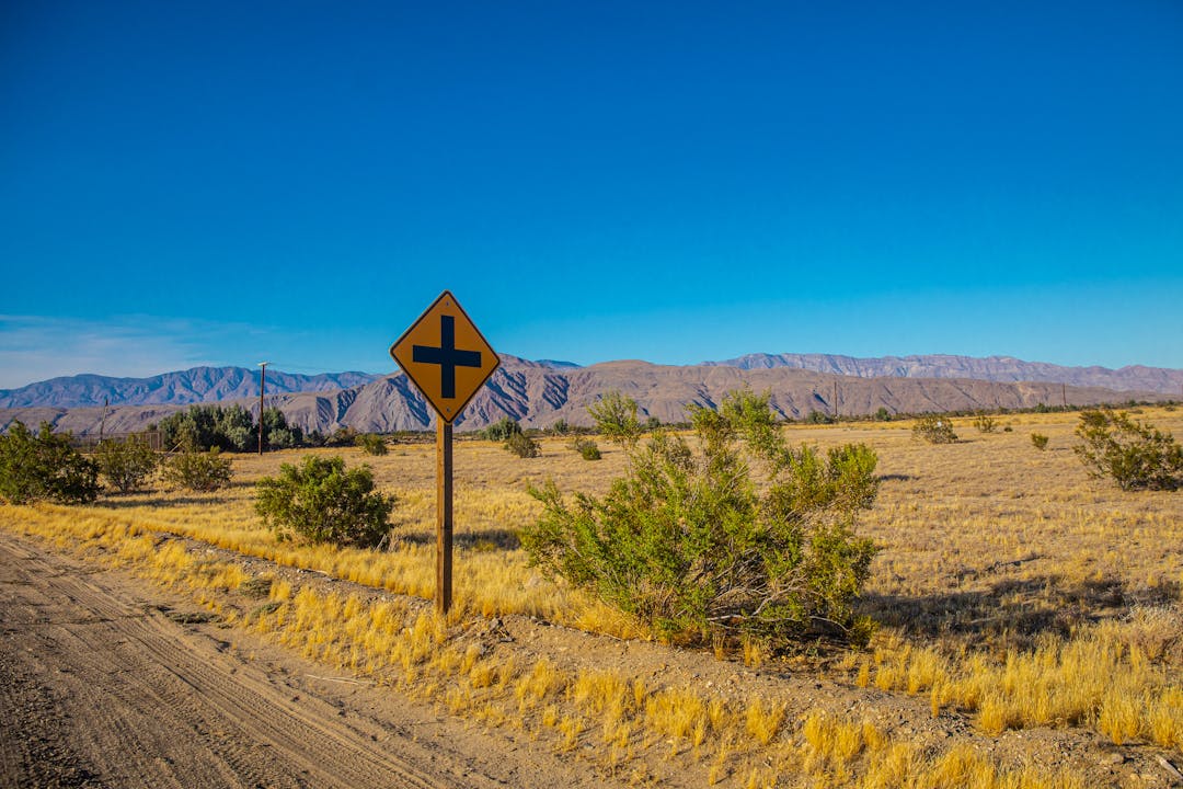 Diverging mountain trail paths at a scenic overlook