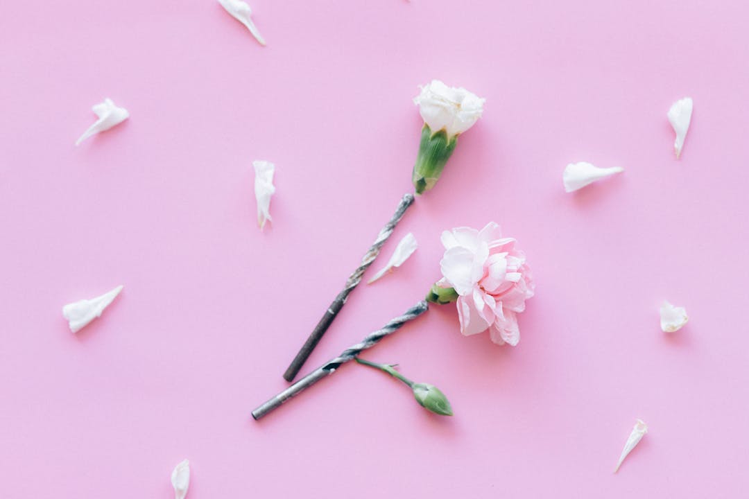 Young plant with visible root system in rich soil symbolizing revenue as business foundation