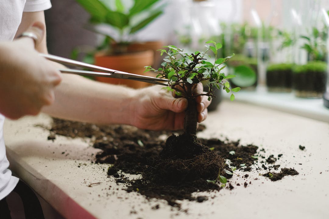 Archaeologist delicately uncovering buried artifacts with small tools and brushes