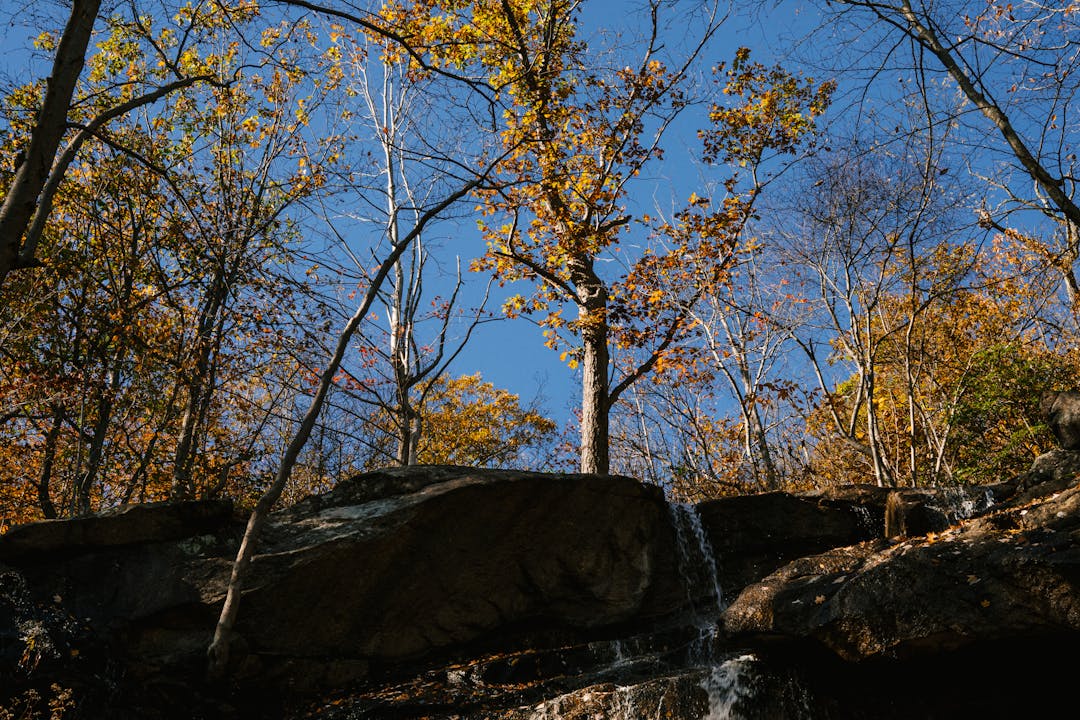 Tide pools at different water levels representing market timing variations and changing conditions