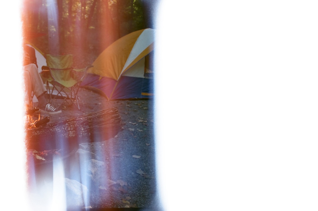 Chess board showing strategic piece positioning and tactical decision-making dynamics