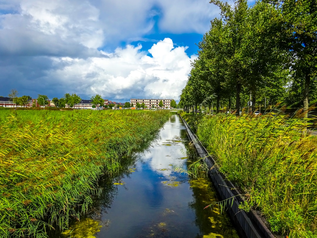 Visual representation of competitive advantage as protective barrier or foundation