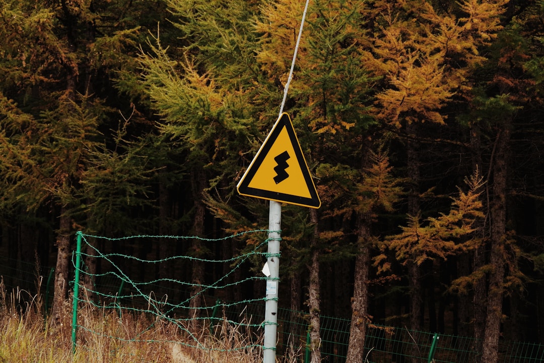 Warning road signs at fork showing different paths representing business decisions