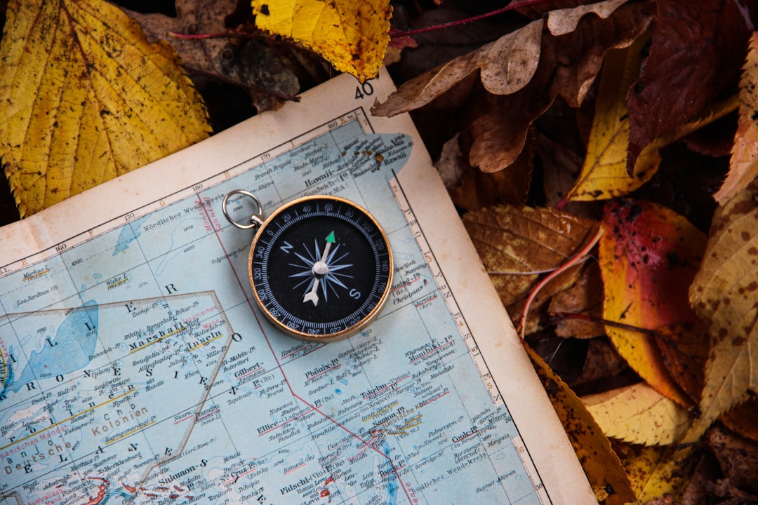 Detailed compass on map in wilderness setting showing strategic navigation and direction finding