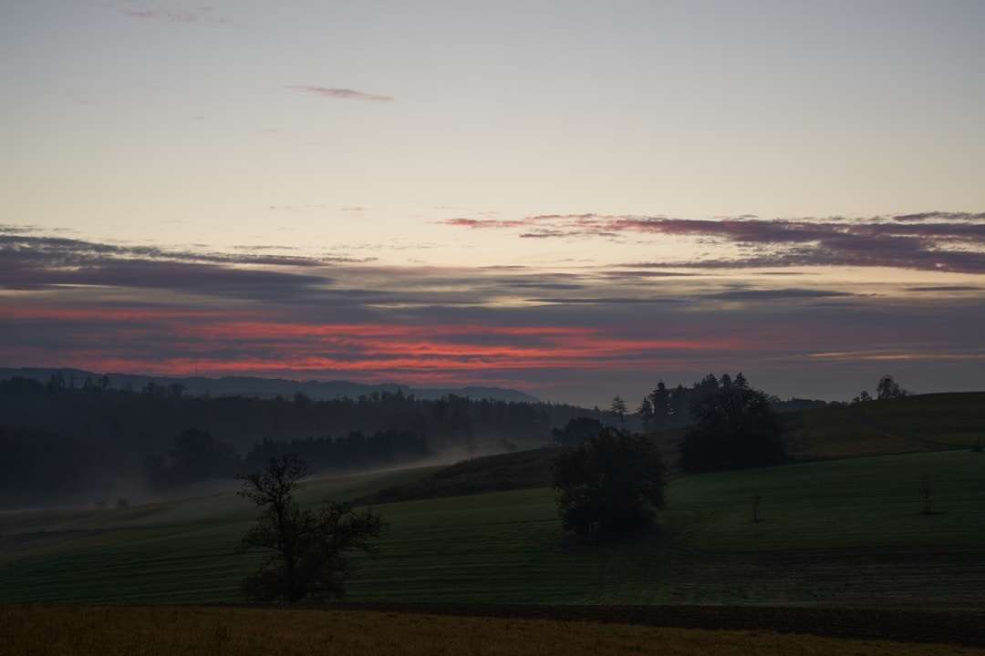 Golden sunrise over horizon representing new opportunities and successful transitions