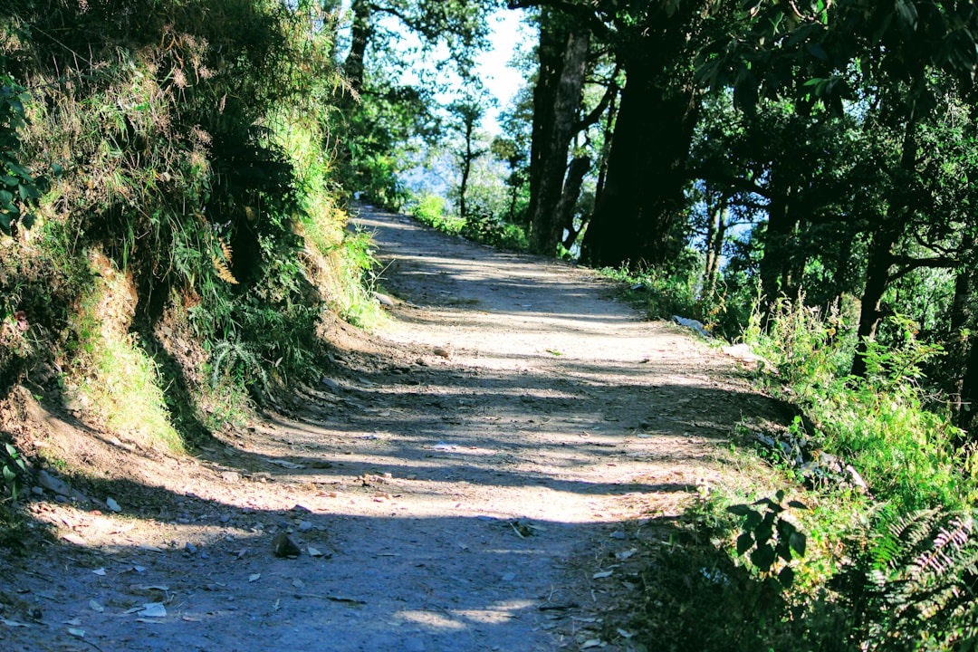 Clear pathway or road leading toward bright horizon symbolizing business direction