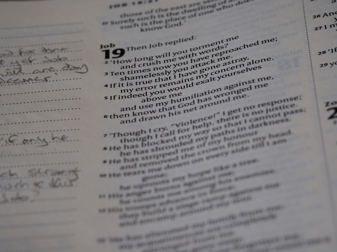 Hand-drawn organizational charts and financial notes mapping out business ownership structures