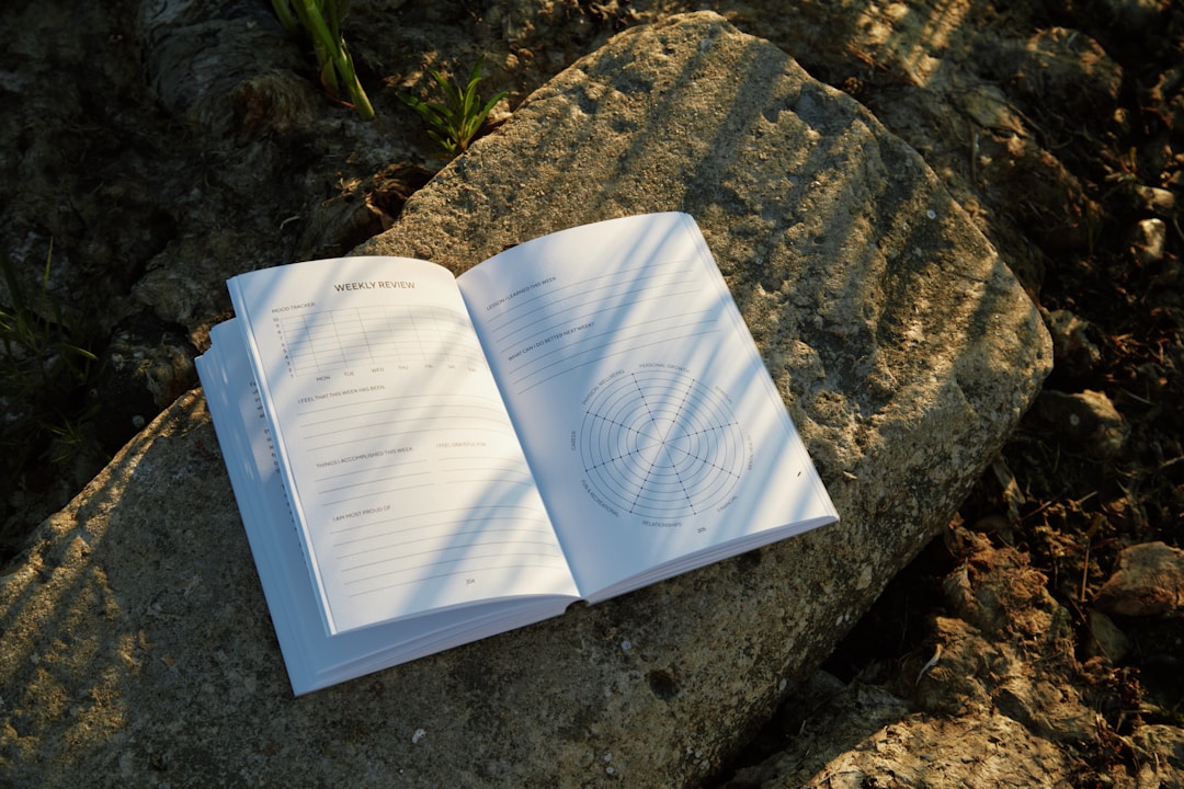 Person writing in journal during reflective moment, showing personal planning process