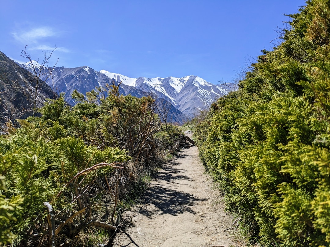 Clear mountain trail leading forward through landscape toward distant peak destination