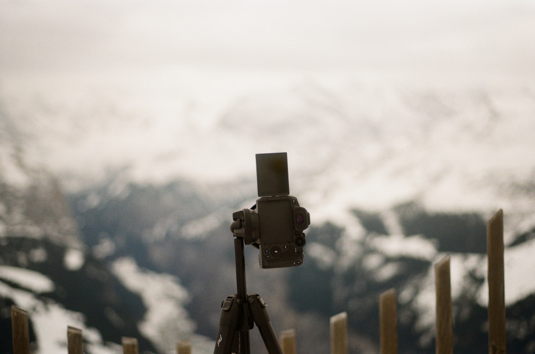 Professional using binoculars to scan horizon, representing threat recognition and market monitoring