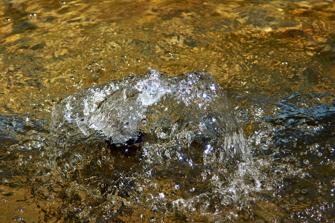 Meandering stream representing the flow of trust income over time