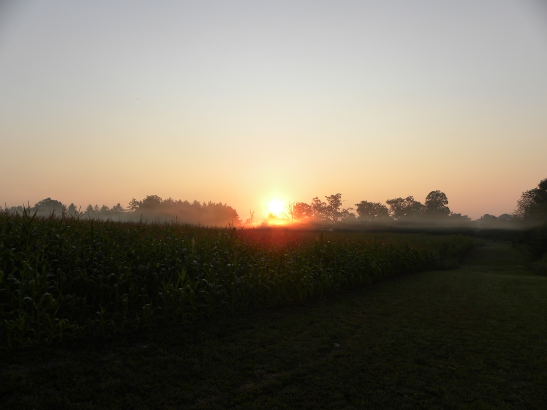 Golden sunrise over horizon representing new opportunities and successful outcomes