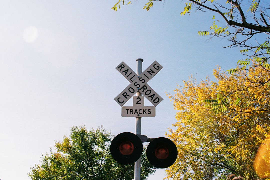 Business owner examining multiple pathways and different options