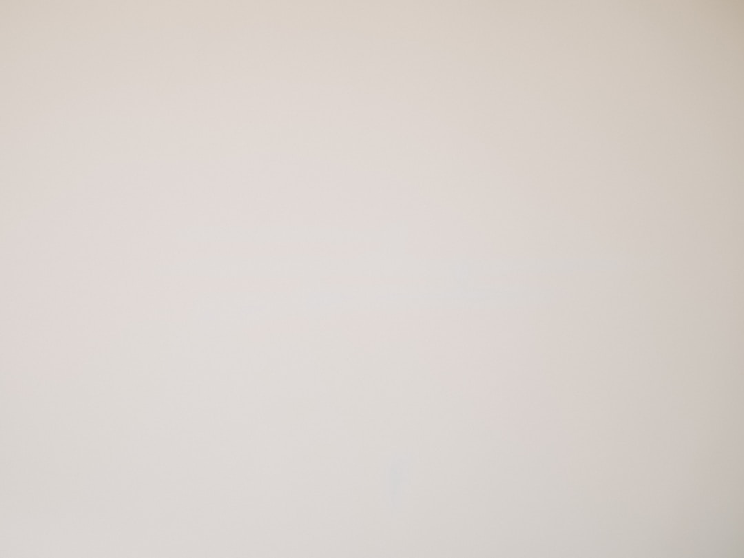 Project timeline showing phased approach to environmental disclosure preparation over multiple months